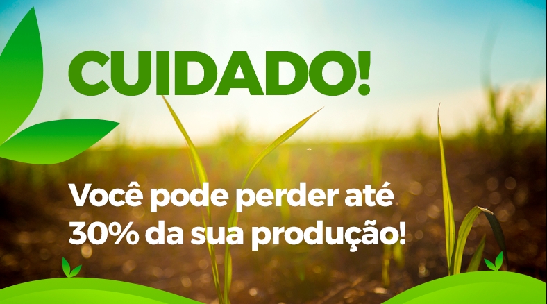 Você pode perder até 30% da sua produção.