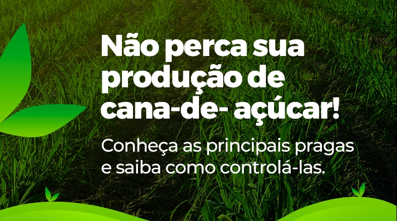 Conheça as principais pragas e saiba como controlá-las