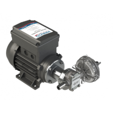 MOTOBOMBA ELÉTRICA 230V 10L/MIN (ENGRENAGEM)